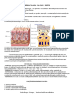 Dermatologia em Cães e Gatos PDF