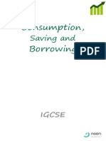 Consumption, Borrowing: Saving and