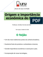 Origem e Importância Econômica Do Feijão.