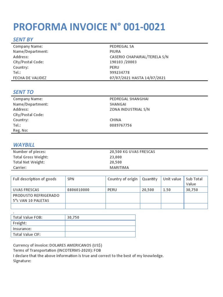 Proforma Invoice N° 001-0021 Details | PDF