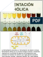 Fermentacion Acetica