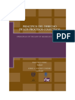 Libro Principios Del Derecho de Los Proc Colectivos