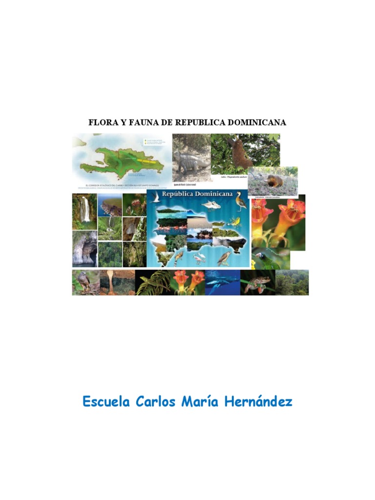 Flora y Fauna de Republica Dominicana | PDF | Los bosques | República