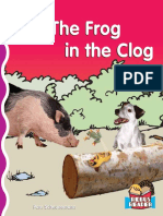 The Frog in The Clog