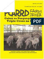 Farm Primer On Gabay Sa Pangangasiwa NG Triple Cross Na Baboy - Beta - PCRD-H003591