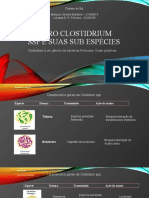 Gênero Clostidrium SSP e Suas Sub Espécies - Biomed - Estudo de Caso