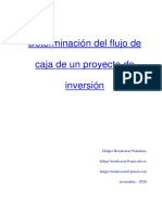 Determinación Del Flujo de Caja de Un Proyecto 01