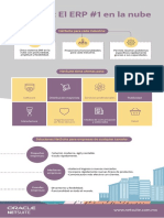 Infographic Ns Erp en La Nube