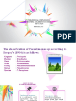 Pseudomonas Aeruginosa Bacteria Causes Nosocomial Infection