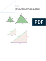 SEMEJANZA DE TRIANGULOS