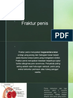 Fraktur Penis