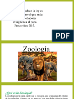 Clase 4 Zoologia