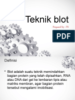 Teknik Blot