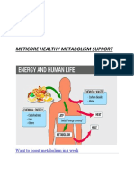 Meticore Healthy Metabolism Support