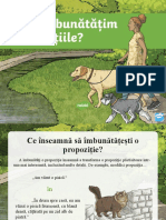 Cum Imbunatatim Propozitiile_ - Prezentare PowerPoint