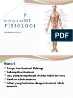 Konsep Anatomi Fisiologi
