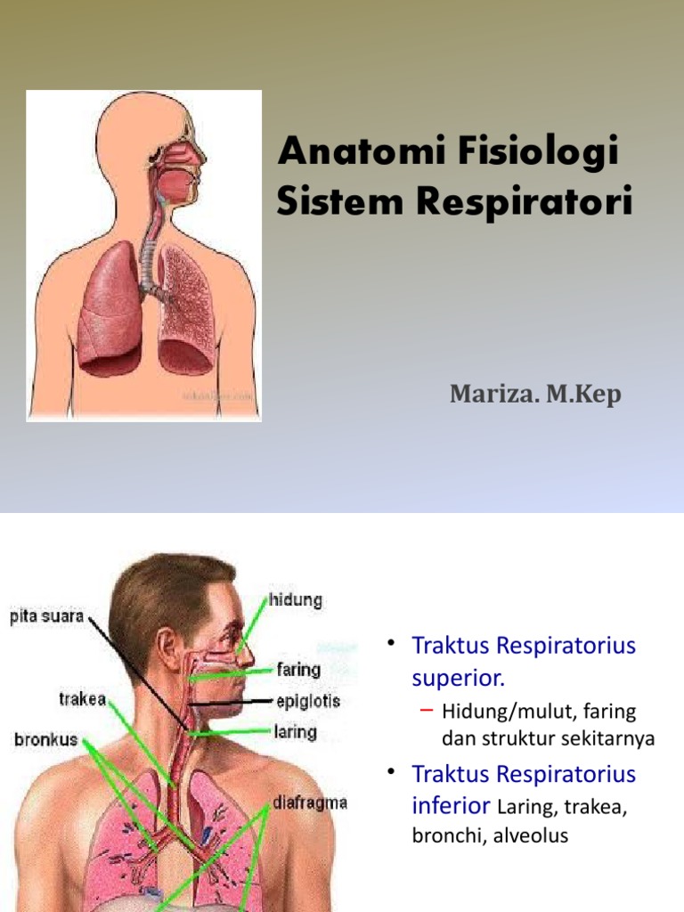 MEKANISME RESPIRASI | PDF