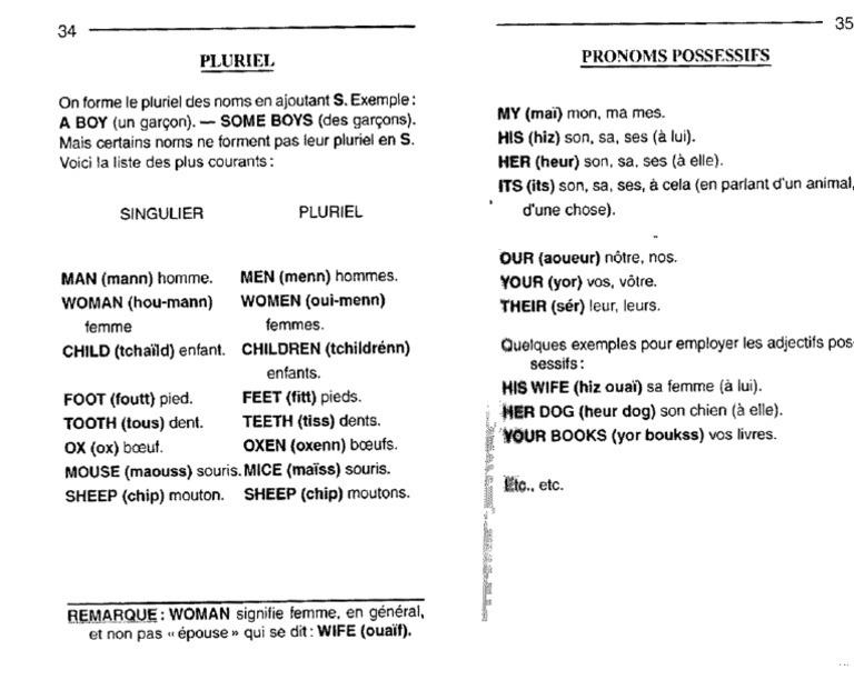 Je Me Debrouille en Anglais  20  PDF