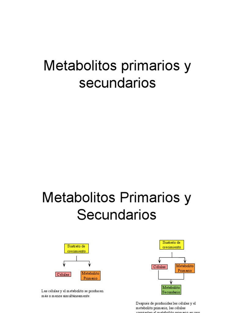 6_Metabolitos primarios y secundarios