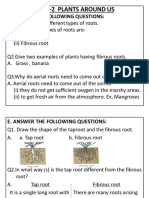 L-2 Plants Around Us: D. Answer The Following Questions