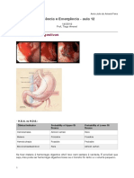 Aula 12 - Hemorragias Digestivas 