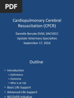Demo Speech Outline Pdf Cardiopulmonary Resuscitation Medical Specialties