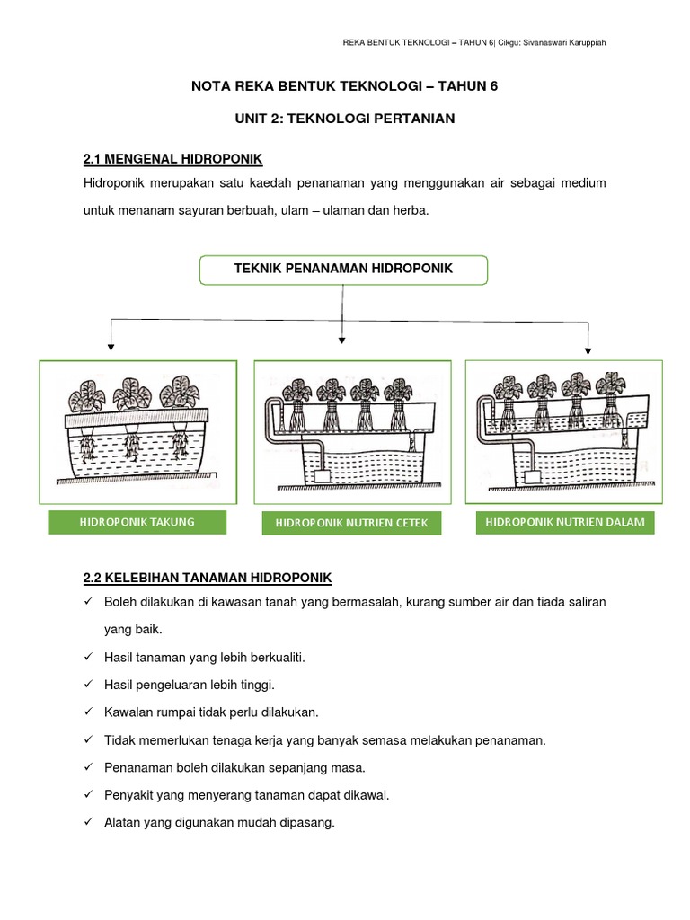 hidroponik tahun 6