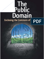 The Public Domain