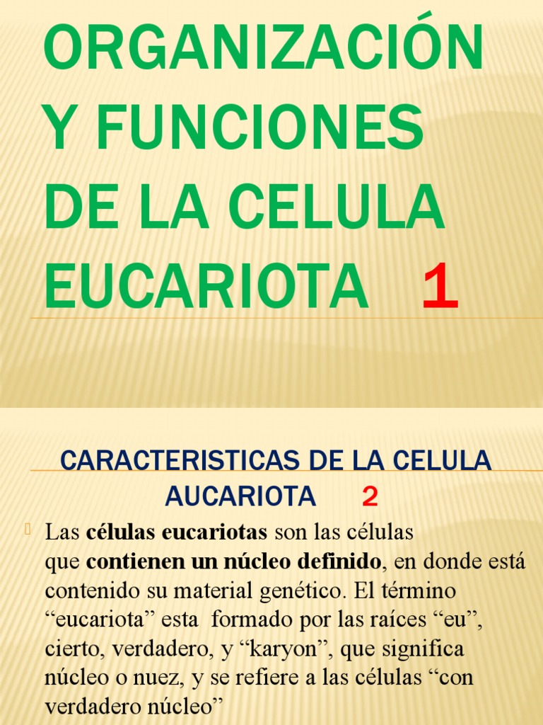 Estructura y Funciones de Células Eucariotas | PDF | Citoplasma ...