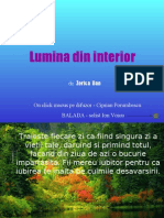 Lumina Din Interior Pps