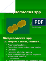 c-6-gc3a9nero-streptococcus