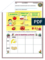 Descubriendo La Transformacion de Los Alimentos 2