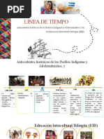 Linea de Tiempo Eib 2021