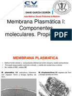 IV. Membrana Plasmática-Transporte Celular II