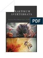 Praktikum Avertebrata