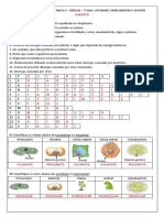 7 Ano Atividade Complementar 5 Revisão Gabarito