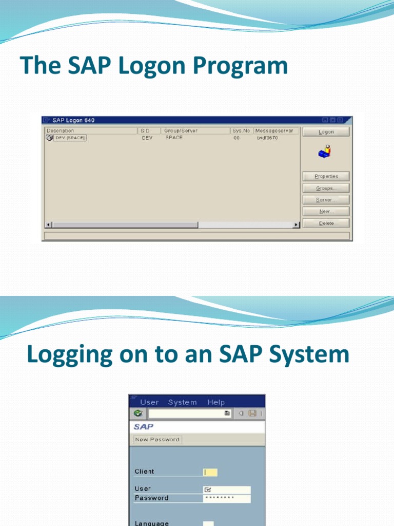 Mastering SAP Human Capital Management: Navigating the SAP Logon Screen ...
