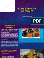 Sulfuros y sulfosales: características y minerales principales(39