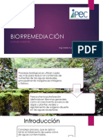 BIORREMEDIACIÓN