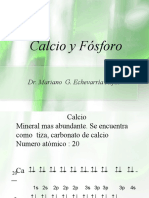 Calcio y Fósforo - Nutricion de Minerales