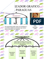 Organizador Grafico Paraguas