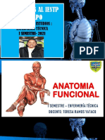Clase de Anatomia Funcional N°1