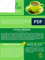 Informativo 6 Chás Incontinência 1