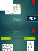 Ciclo de Krebs