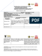 DIARIO DE CAMPO LENGUA CASTELLANA Undécima