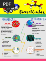 Organizador visual de seres vivos | PDF