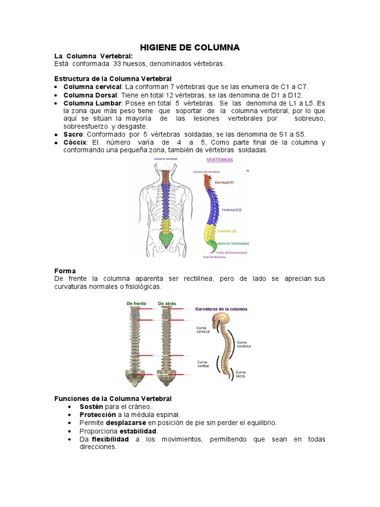 Higiene de Columna Vertebral y Posturas | PDF | La columna vertebral ...