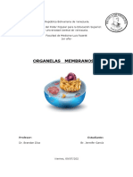 Organelas Membranosas - Cuadro Listo