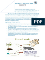 Amazing Grace Christian School: Food Web