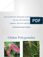 Orden Polygonales